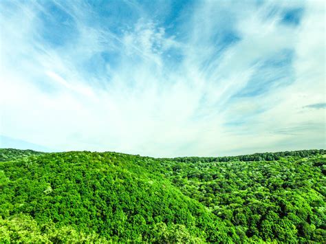 Free Images Landscape Tree Nature Forest Outdoor Horizon