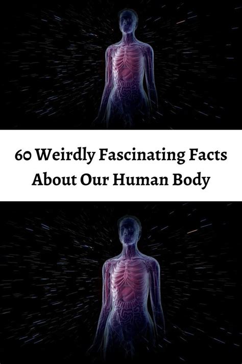 60 Weird And Freaky Facts About The Human Body Artofit