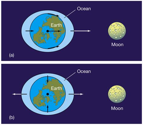 The Moon Different Perspective Of Tidal Force On Earths Ocean