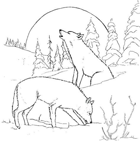 Detailed Wolf Coloring Pages At Getcolorings Free Printable