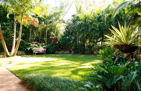 Coorparoo Tropical Landscape Design Brisbane Tropical Landscape