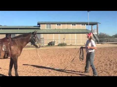 They can also help you a round pen is an indispensable training tool for the horse enthusiast. Brandi lyons shows how to use the lunge line to get some ...