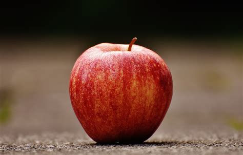Shallow Focus Photography Of Red Apple On Gray Pavement · Free Stock Photo