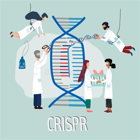 Scientists Illustrated How Crispr Cas9 Works Gene Editing Tool