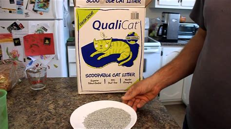 Costco Qualicat Cat Litter Product Review Youtube