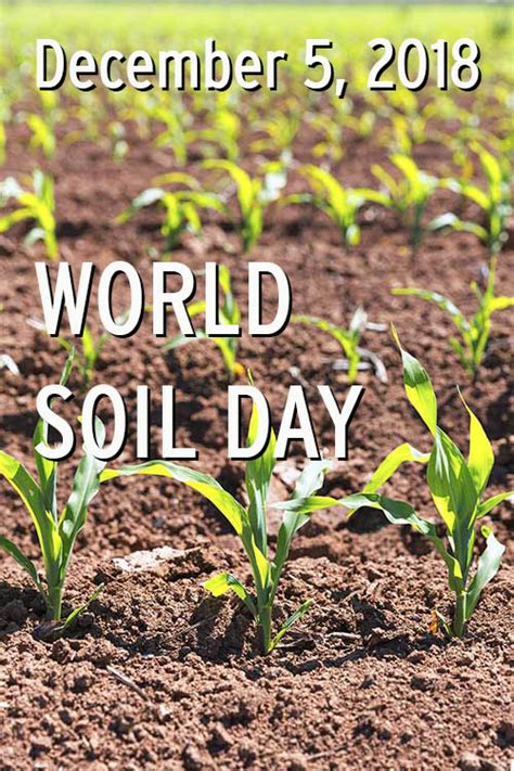 December 5th 2018 World Soil Day Good In Every Grain