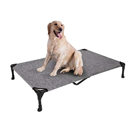 Top 10 Elevated Dog Beds In 2023 Ultimate Guide