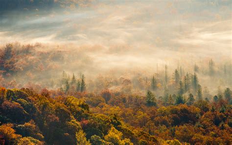 Nature Landscapes Hills Fog Mist Haze Trees Forest Color Autumn Fall Seasons Scenic Sunrise