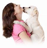 Images of Pet Doctor Tucson