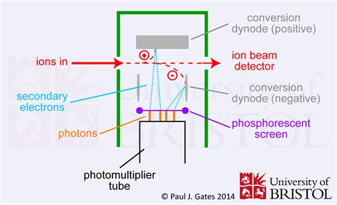 Mass Spectrometry Facility Detectors