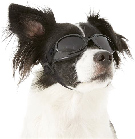 Doggles Originalz Dog Goggles Black Small