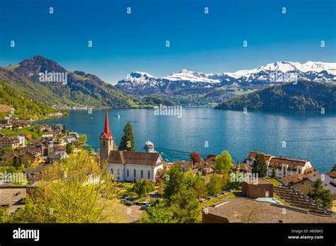 Village Weggis Lake Lucerne And Swiss Alps In The Background Near Famous Lucerne City