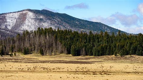 New Mexicos Valles Caldera National Preserve Tabbed As International