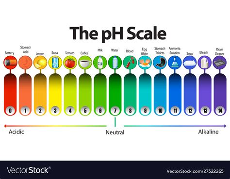 Ph Scale On White Background Royalty Free Vector Image