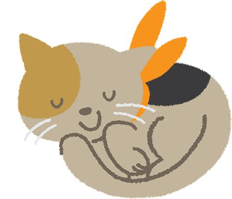 Cat Is Sleeping Clipart Free Download Transparent Png Creazilla