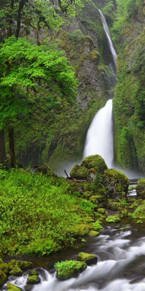 Wahclella Falls — Washington Trails Association
