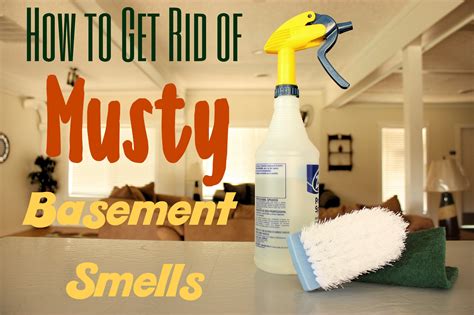 How To Get Rid Of Musty Basement Smells Plus Prevention Tips Musty