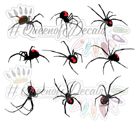 Queen Of Decals Giant Black Widow Spiders New Release ♡ Queen Of