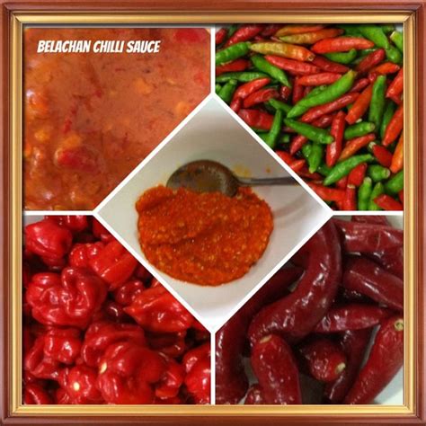 several different types of chilis are shown in this collage including peppers and seasonings