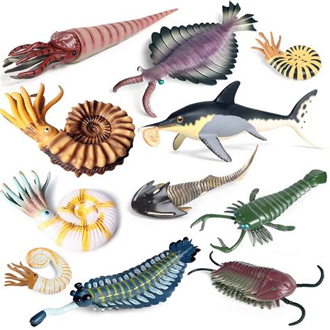 Buy Rcomg 11pcs Prehistoric Sea Creatures Toys Ancient Cambrian Ocean