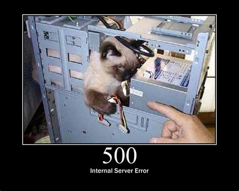 Status Cats By Girliemac Classic Server Error Codes Now With