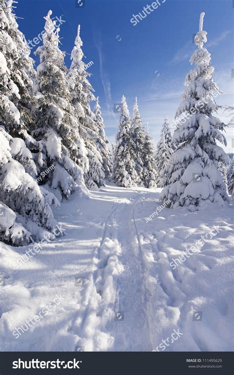 Beautiful Winter Landscape With Snow Covered Trees And