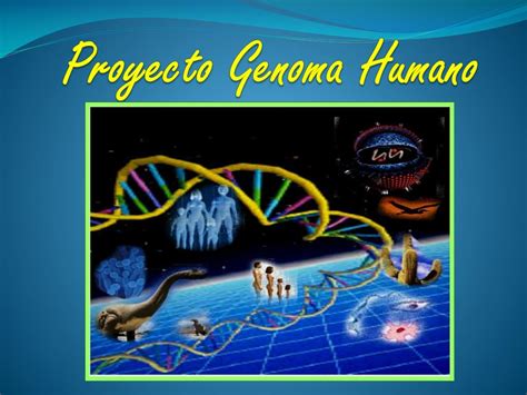 ppt proyecto genoma humano powerpoint presentation free download id 5319483