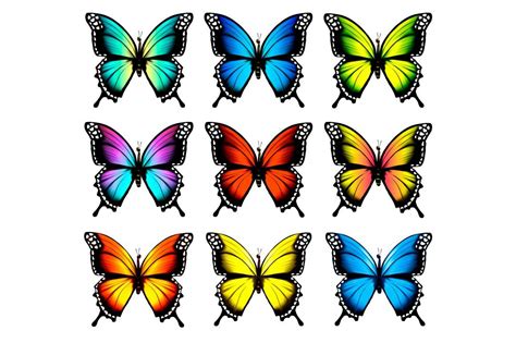 Colorful Butterflies Set Vector Borboletas Coloridas Borboletas