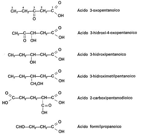 Quimica Acidos Carboxilicos