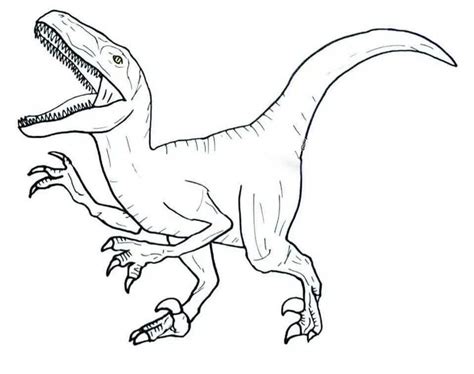 Coloriage Dinosaure Dessin Velociraptor à Imprimer Coloring pages
