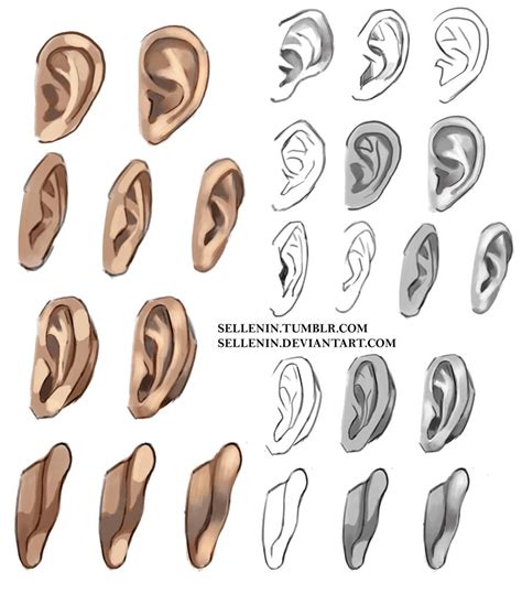 Ears Reference By Sellenin On Deviantart Figure Drawing Reference
