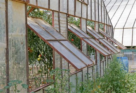 How Do I Choose The Best Greenhouse Windows With Pictures