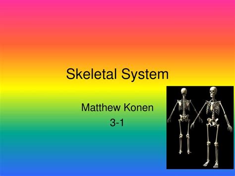 Ppt Skeletal System Powerpoint Presentation Free Download Id5663799