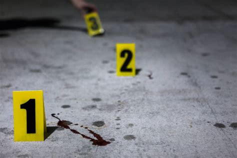 4600 Bloody Crime Scene Photos Stock Photos Pictures And Royalty Free