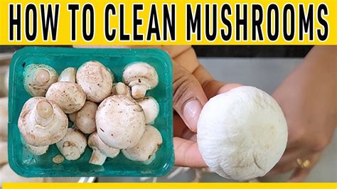 How to clean Mushroom Before Cooking 🍄 Mushroom Recipe | Cleaning and