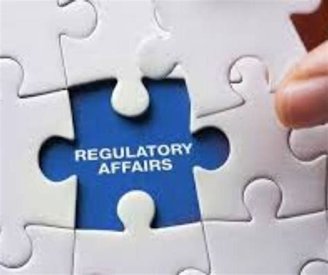 Regulatory Affairs At Best Price In Chennai Id 22276052473