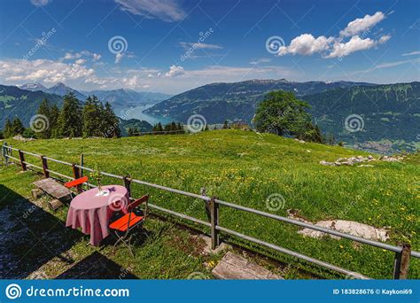 Switzerland Near Mountain Jungfrau Stock Photo Image Of Farm Field