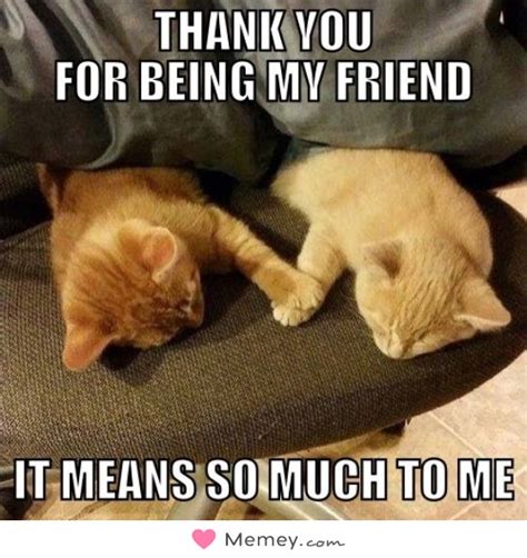 You Are A Good Friend Thank You Meme 971868 Thank You To A Good Friend