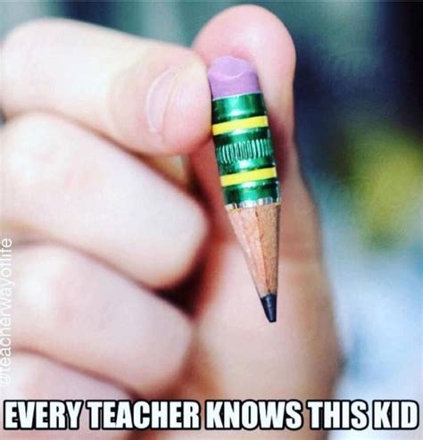 20 Teacher Memes That Totally Get Your Daily Struggles