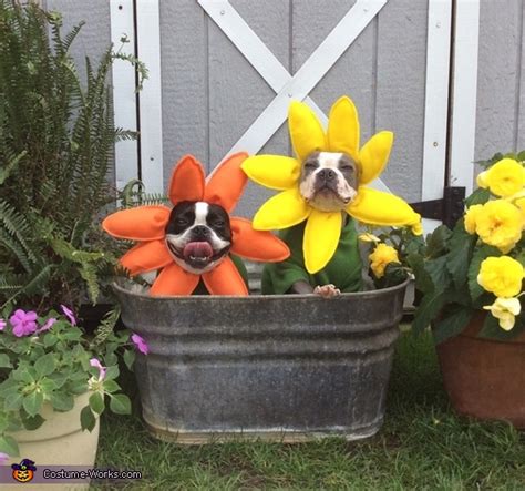 Funny Flowers Dogs Halloween Costume