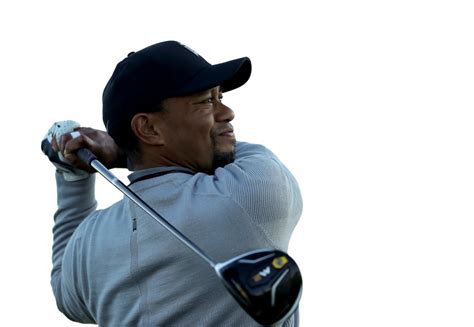 tiger woods says medication not alcohol led to dui arrest daily news