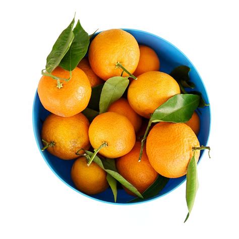 Orange Fruits Bowl Blue Bucket Container Fruit Healthy Food