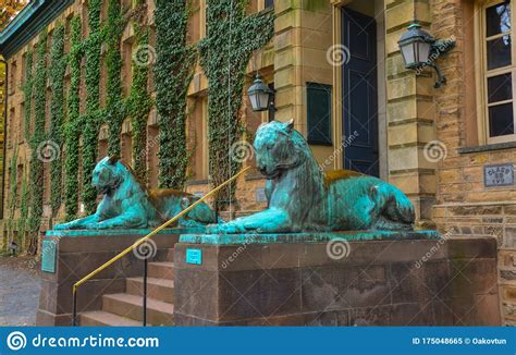 Princeton Usa Novenber 12 2019 The Twin Tiger Statues At The