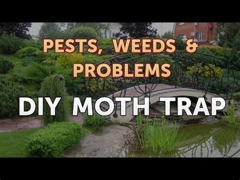 We have a wide range of clothing moth traps. DIY Moth Trap - YouTube