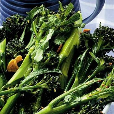 10 Delicious Recipes With Purple Sprouting Broccoli