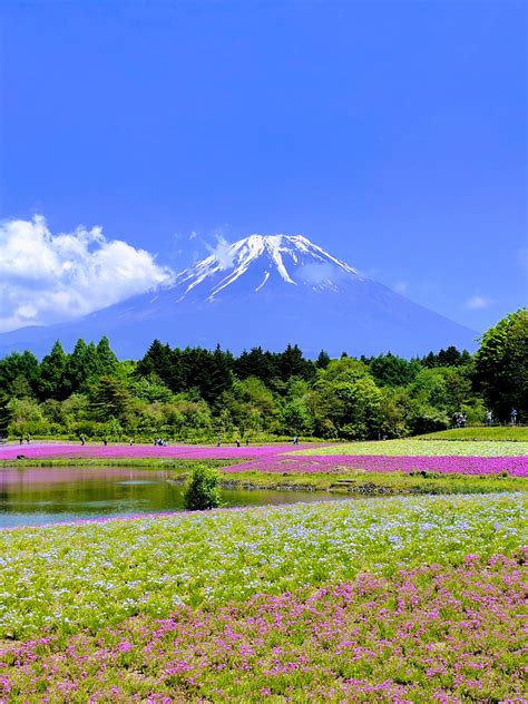 Another Look At Mt Fuji This Time In Spring May 2017 Pics