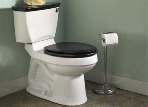 Best Toilet Buying Guide Consumer Reports