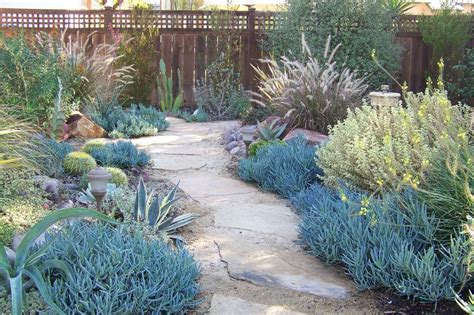 Dry Lush And Colorful Low Maintenance Garden Water Wise Landscaping