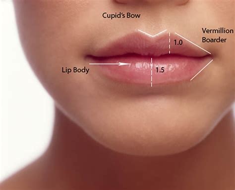 Perfect Lips Rippon Medical Services Rippon Medical Services Facial Aesthetics In