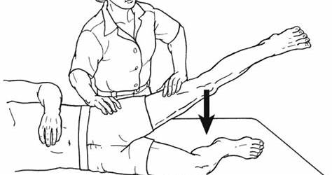 Hip Adduction Manual Muscle Test